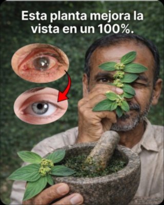 ¡Alerta Visual! 👁️ El Nutriente 'Oculto' en tu Cocina que PODRÍA ESTAR SALVANDO tus Ojos (y NADIE te lo ha dicho)