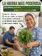 ¡Alerta! La Verdad Oculta sobre la Hierba Más Popular para tu Salud: ¿Funciona de verdad o te estás arriesgando?
