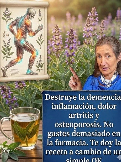 ¡ATENCIÓN! La Salvia NO es un cuento de abuelas: 7 Poderes Ocultos que transformarán tu salud (y lo que NADIE te dice antes de usarla)