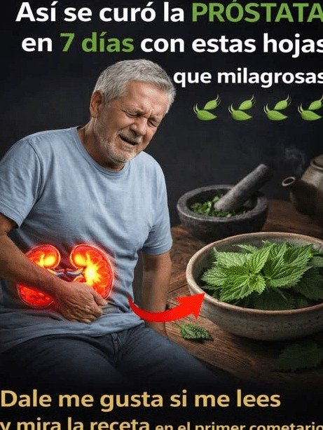 ¡Despídete de las Noches Interrumpidas! 9 Sorprendentes Cambios que la Raíz de Ortiga Hará por tu Próstata y Bienestar Urinario (¡No te lo Pierdas!)