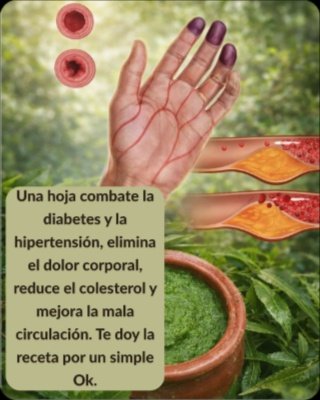 ¡Alerta Salud! 🤯 Esta Hoja Viral Está Revolucionando TODO (Y Lo Que NADIE Te Cuenta Para Que NO Te Lo Pierdas)
