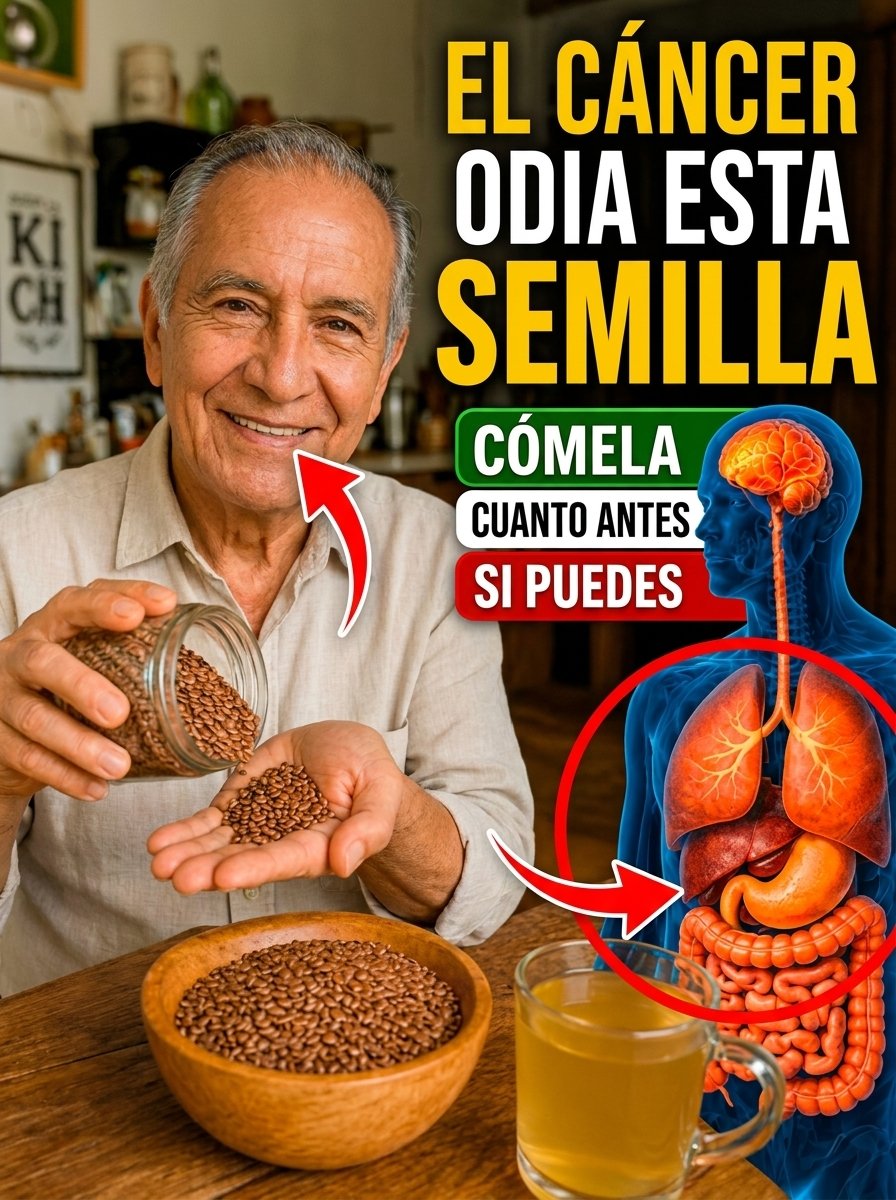 ¡Alerta Mayores de 60! ¿Comes Semillas a Diario? El Único ERROR que Te Impide Sentirte Joven (y Nadie Te Lo Cuenta)