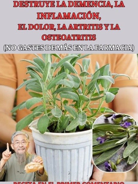 ¡Alerta Salud! Una Sola Vitamina Puede REVOLUCIONAR Tu Cuerpo y Mente: El Secreto Que Nadie Te Cuenta (¡Hasta Ahora!)