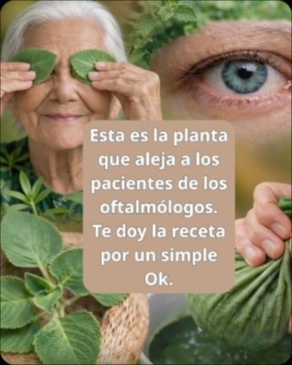 ¡Alerta! Tu Orégano Orejón No Es Tan Mágico Como Crees: La VERDAD Que La Ciencia Oculta (Y Debes Saber YA)