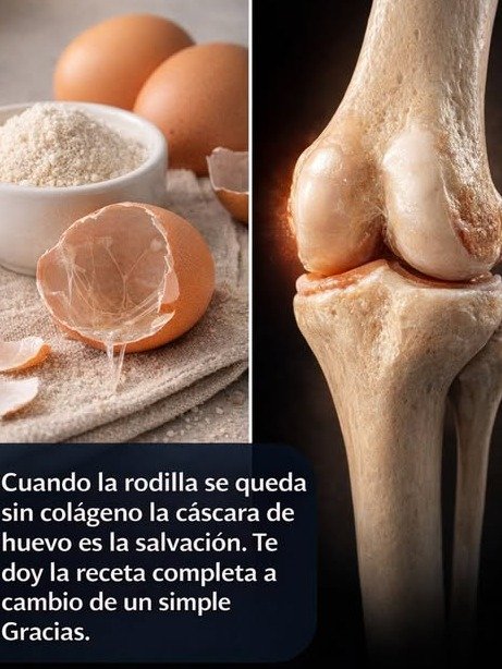 ¡No CREERÁS lo que puedes hacer! 🥚✨ El "desperdicio" que está REVOLUCIONANDO tu salud y hogar (y que siempre tiraste)