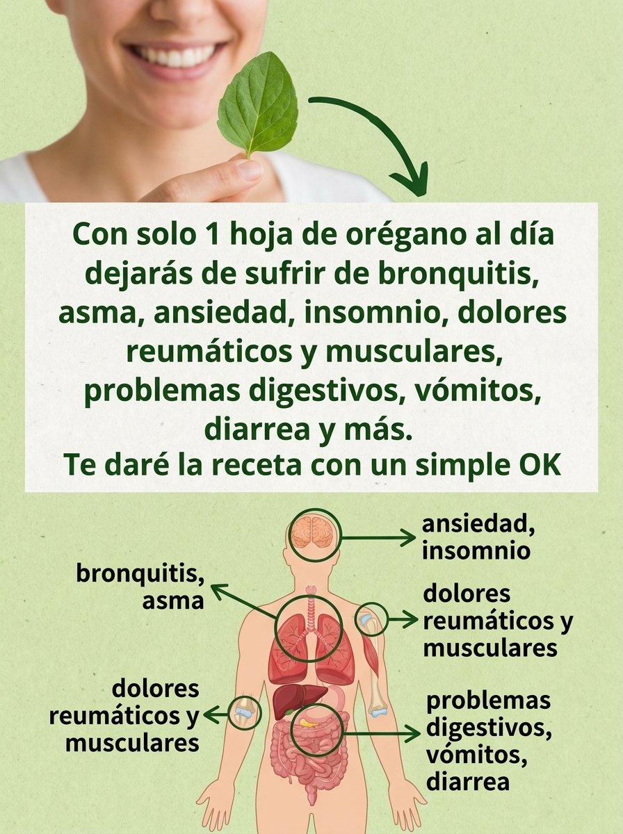 ¡ALERTA VIRAL! ¿Una Sola Hoja de Orégano Orejón al Día Puede REVOLUCIONAR tu Salud? La VERDAD que Nadie Te Cuenta (¡No te lo Pierdas!)