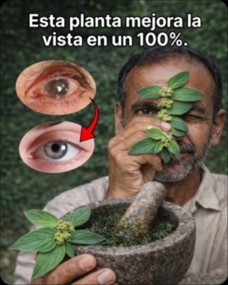 ¿Cansado de la Fatiga Visual? La Planta 'Secreta' que Promete Mejorar Tu Vista (¡Pero NO la uses antes de leer ESTO!)