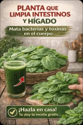 ¡Alerta! Descubre la Planta MILAGROSA que Tus Intestinos y Hígado Necesitan AHORA Mismo (Y Nadie Te Había Contado)