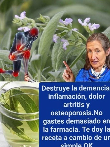 ¡No Creerás lo que la Salvia Puede Hacer por TI! 🤯 Los 8 Secretos y Peligros que NADIE te Cuenta