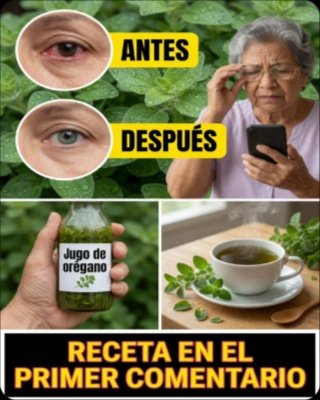 🚨 ¡Alerta Salud! El Ingrediente Secreto que TU CUERPO NECESITA: Así el Orégano Orejón Limpia y Revitaliza tu Organismo (¡No te lo pierdas!)