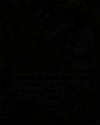 ¡Alerta Viral! El 'Árbol de la Visión' que Promete Curar Tus Ojos: La VERDAD que Nadie Te Cuenta (¡Antes de que Sea Demasiado Tarde!)