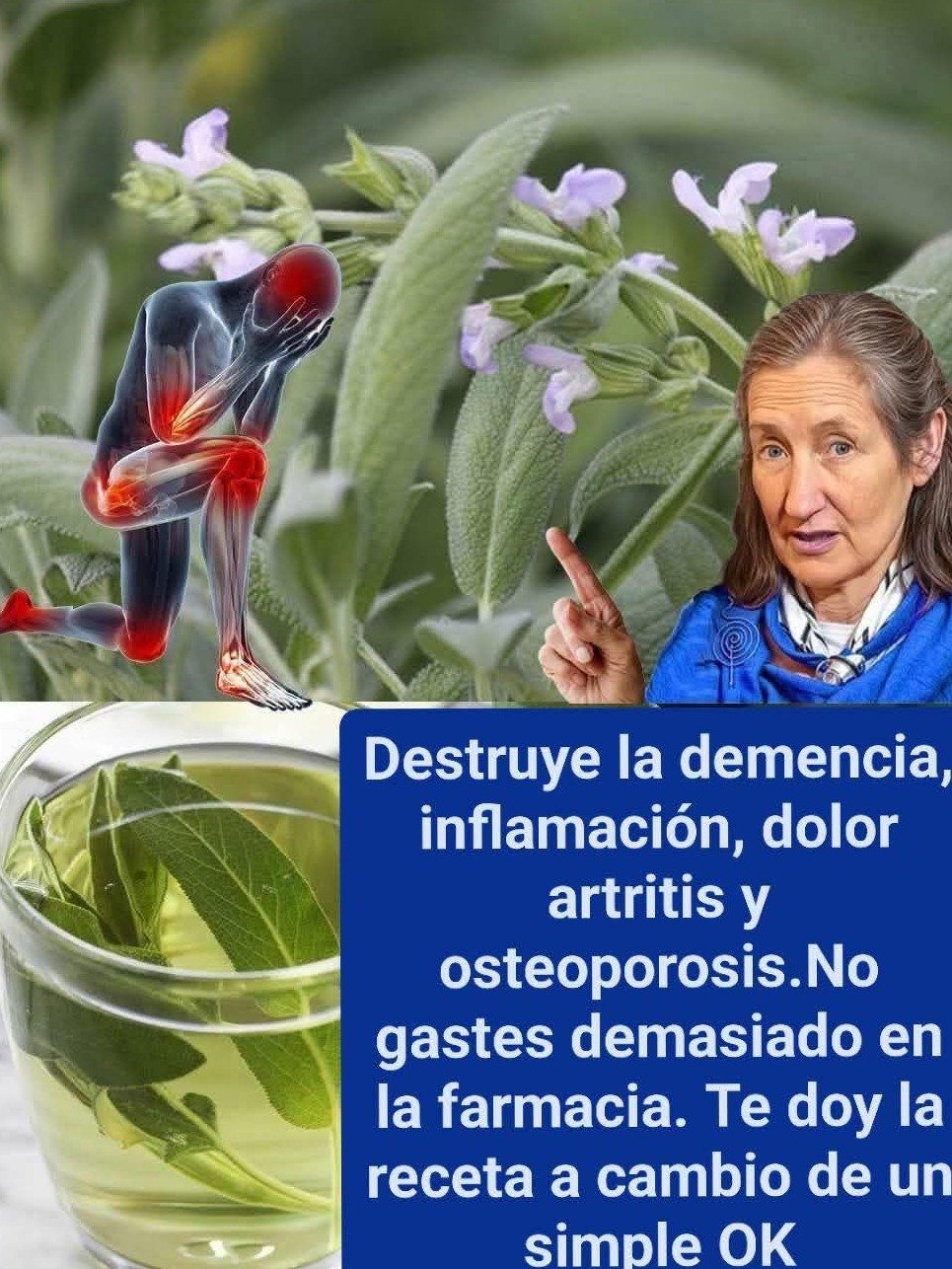 ¡Desbloquea el Poder Oculto de la Salvia! 8 Secretos Ancestrales para Curar y Transformar Tu Salud (¡No Te Lo Pierdas!)