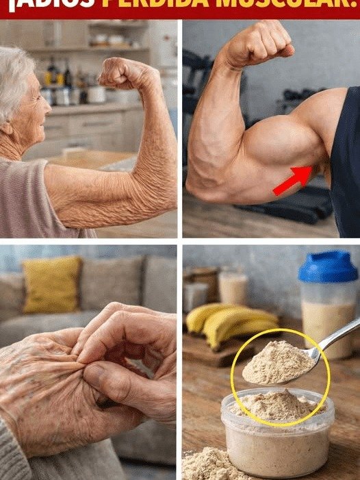 ¡ALERTA +60! ¿Pierdes Músculo Cada Día? Este Alimento "Secreto" Que NADIE Te Cuenta Podría Salvar Tu Fuerza (¡No Lo Ignorés!)