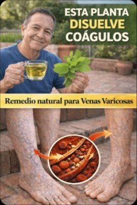 Alerta Roja: ¿Piernas Pesadas? Ignorar Esto Te Costará Caro. ¡Descubre el SECRETO Natural que Nadie Te Cuenta para una Circulación Perfecta HOY!