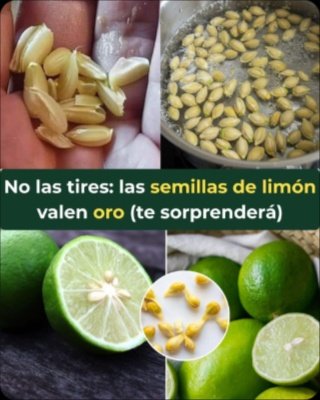 El Secreto Desvelado: ¿Son las Semillas Realmente un 'Milagro' o la Clave Oculta para Tu Salud? (Lo que Nadie Te Cuenta)