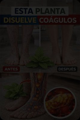 ¡Alerta! Si tus piernas se sienten hinchadas y pesadas, esto es lo que NADIE te cuenta (y necesitas saber YA)