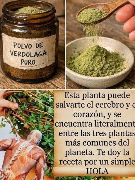 ¡No la arranques! Esta 'Mala Hierba' Esconde el Tesoro Nutricional MÁS PODEROSO de Tu Patio (¡y es GRATIS!)