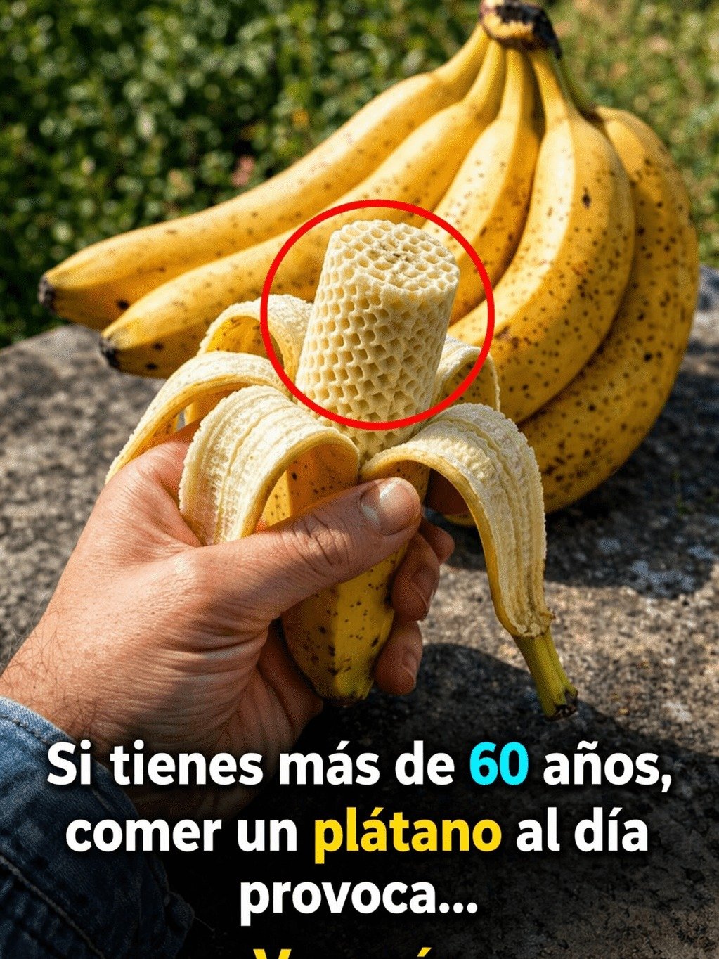 ¡Más de 60? Un Plátano al Día Desencadena 8 Transformaciones ASOMBROSAS en Tu Cuerpo (La Última te Volará la Mente)!