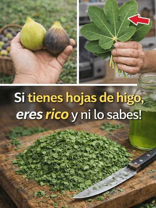 ¡No lo Creerás! El Tesoro Olvidado de Tu Jardín Que Está Revolucionando el Bienestar (Y Cómo Usarlo)