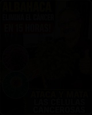 ¡Alerta Viral! ¿La Albahaca Realmente 'Elimina Células Malas'? La VERDAD Que Te Han Ocultado (y Por Qué Importa)