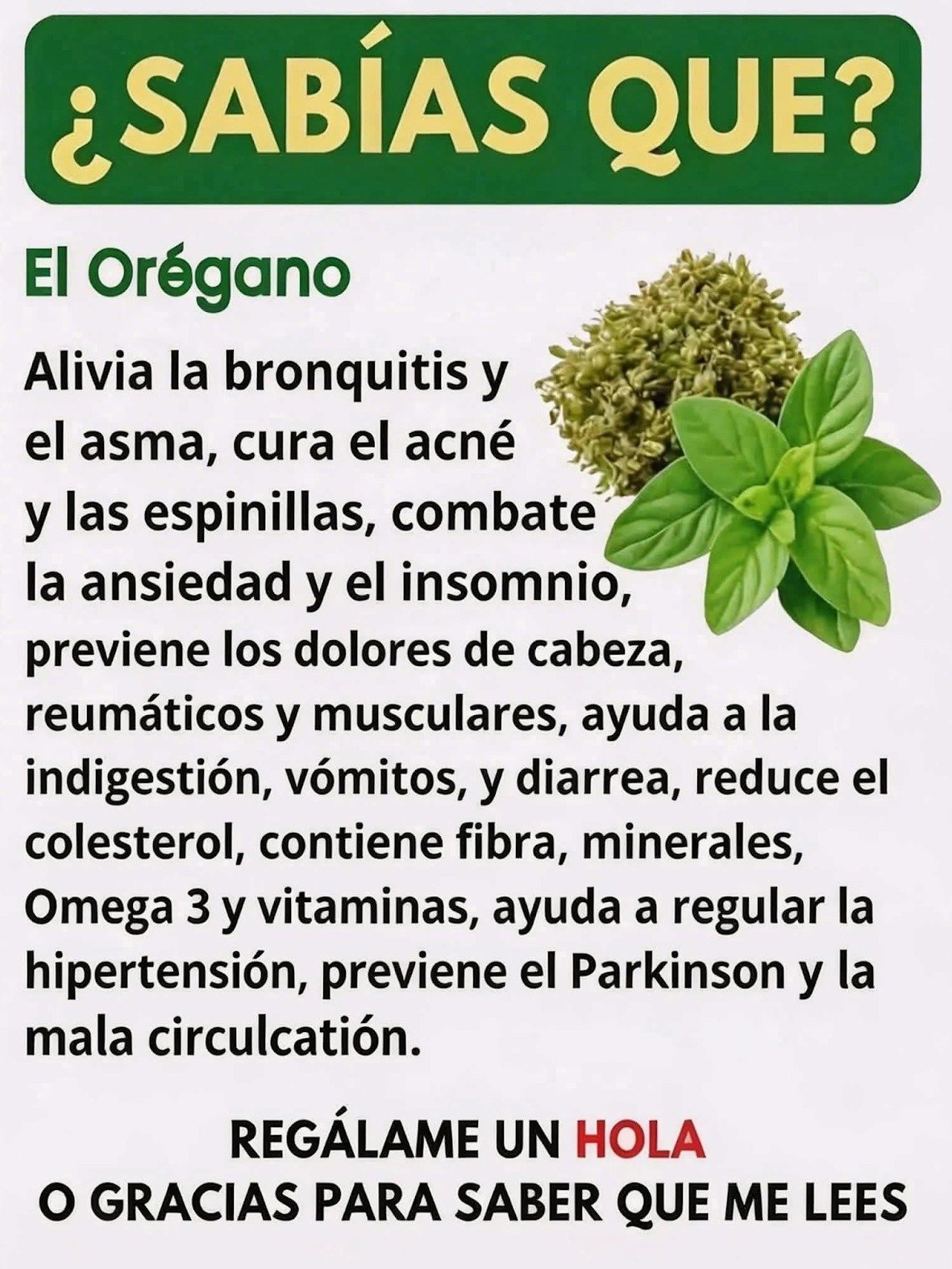 ¡ALERTA! 🤯 Si Tienes ESTA Planta en Casa, Posees un Tesoro que el 99% Desconoce (Sus Beneficios te Sorprenderán)