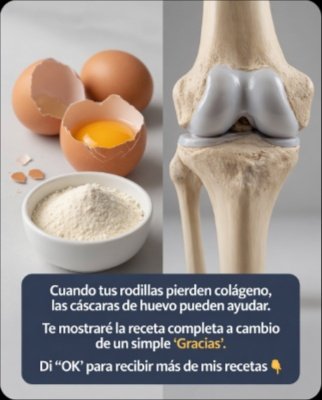 ¡No Vas a Creer Para Qué Sirven las Cáscaras de Huevo! El Secreto que Estás Tirando a la Basura