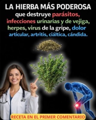 ¡El Tomillo NO ES un Milagro, Pero Sus 7 Beneficios REALES Te Dejarán Sin Palabras! (La Verdad que Nadie Te Cuenta)