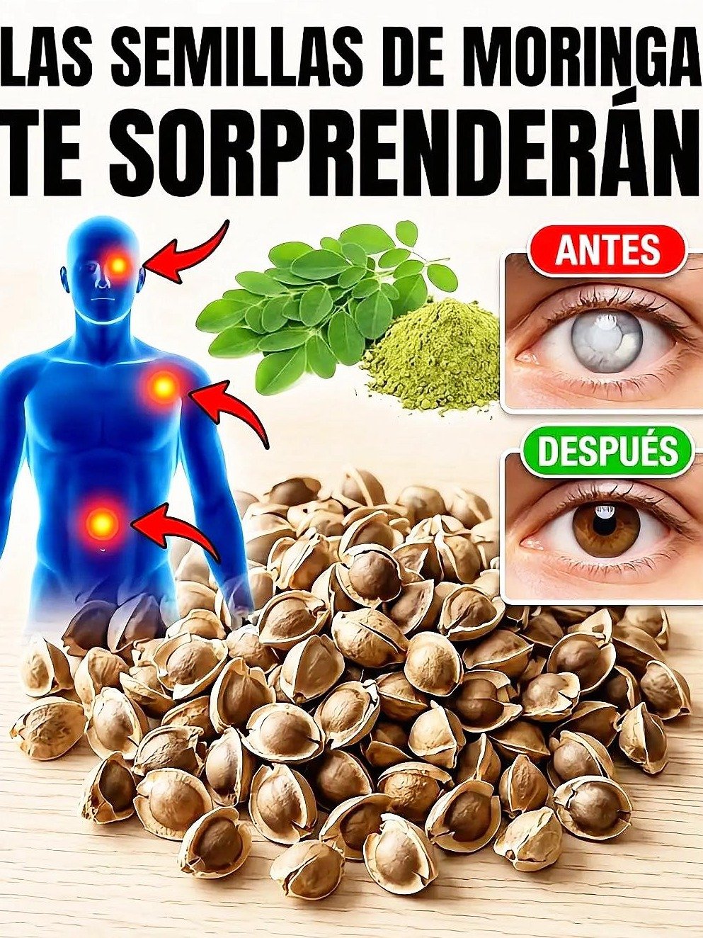 ¿Quieres RECUPERAR tu Visión? 🤯 Descubre la Impactante Verdad de la Moringa (¡Antes de que Sea Tarde!)