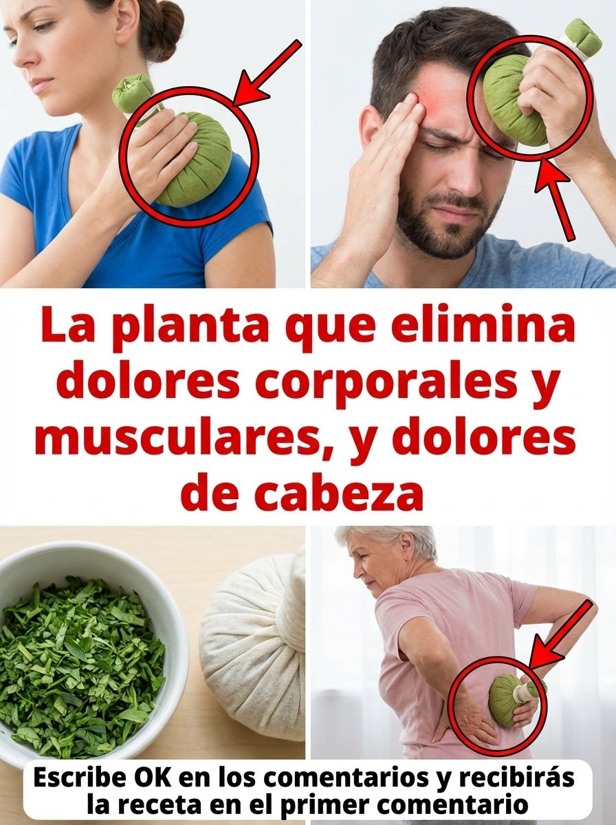 La Planta Olvidada que Elimina Tus Dolores Musculares y de Cabeza en CUESTIÓN de Minutos (¡El Secreto Mejor Guardado!)