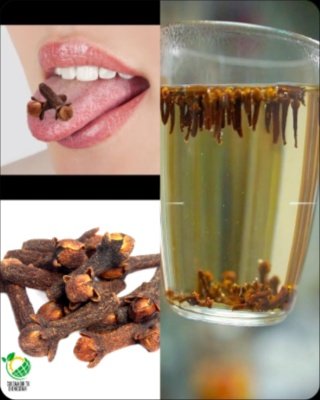 ¡El Truco de Abuela que Tu Médico NO Te Contó! Un Sorbo de Agua de Clavo al Día y Tu Cuerpo Te Lo Agradecerá