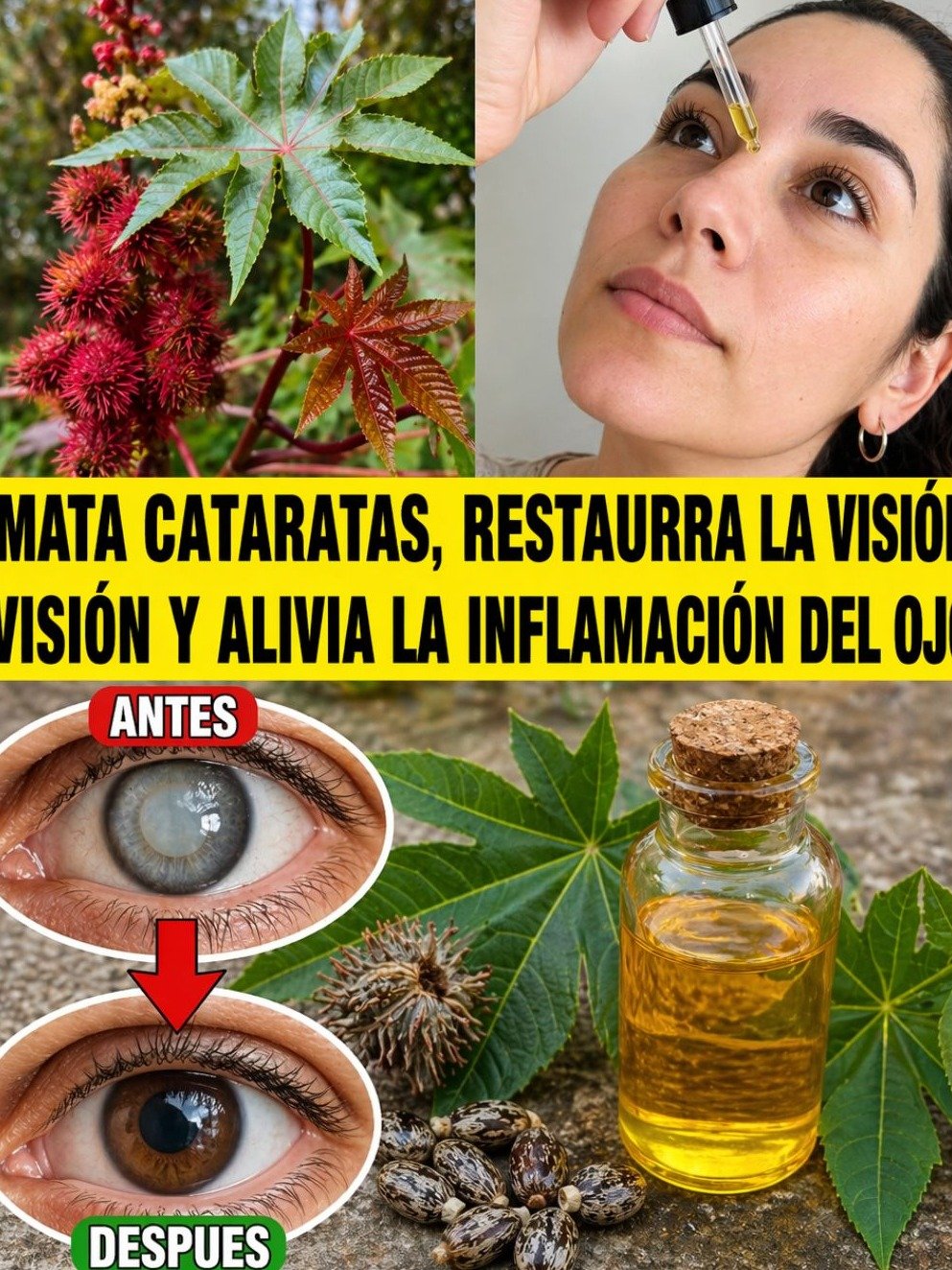 ¡ALERTA VISUAL! 🚨 La Verdad Shockeante sobre los Remedios Naturales para Cataratas e Inflamación Ocular (Lo que Nadie te Cuenta)