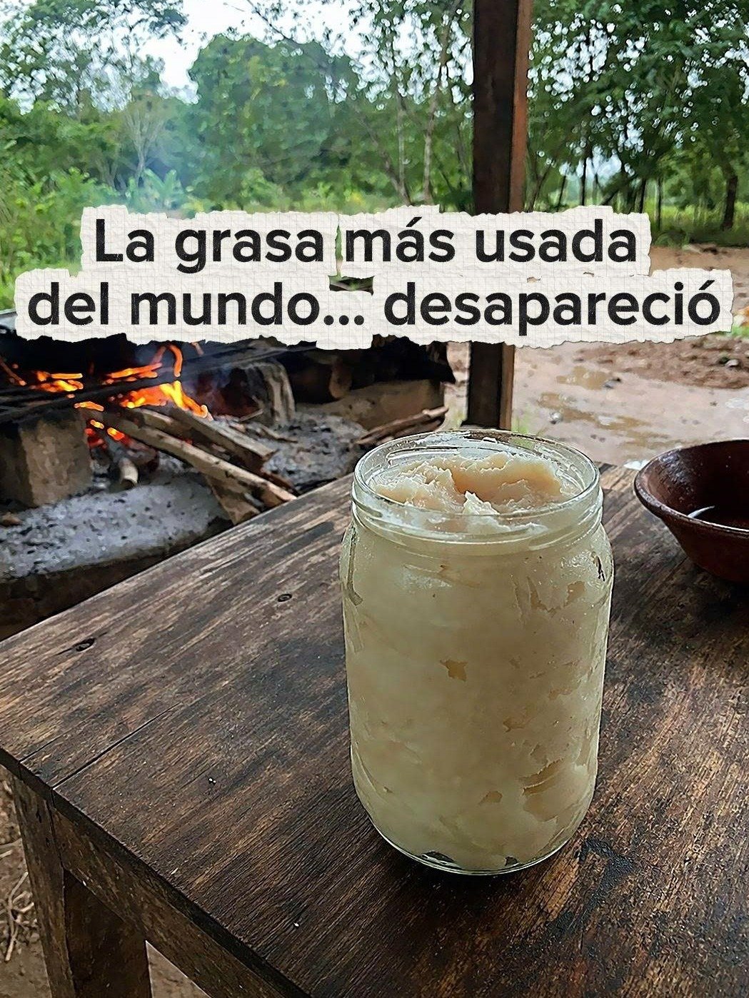 ¡BOMBA ALIMENTARIA! La VERDAD Oculta sobre la Manteca de Cerdo y los Aceites Vegetales: ¿Te Engañaron por Décadas?