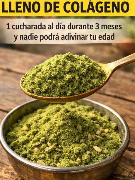 ¡Detén el Reloj! Descubre el SECRETO NATURAL de la Moringa para Disparar tu Colágeno y Rejuvenecer tu Piel