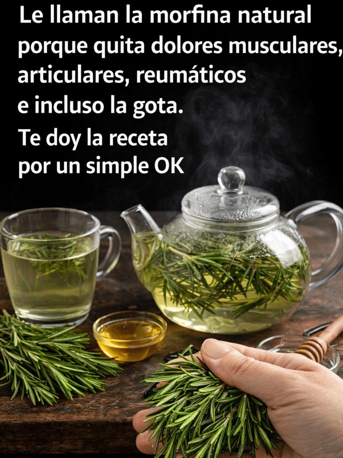 ¡Alerta! ¿Por Qué Miles Llaman al Romero la 'Morfina Natural'? Descubre el Secreto que Calma Dolores Musculares, Articulares y Reumáticos ANTES de que sea Tarde