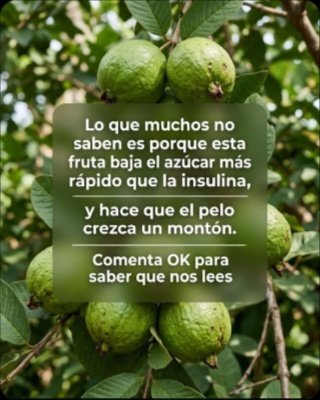 ¡REVELADO! El Té de Hojas de Guayaba: 7 Secretos que Transformarán tu Digestión, Azúcar y Energía (No creerás lo que hace)