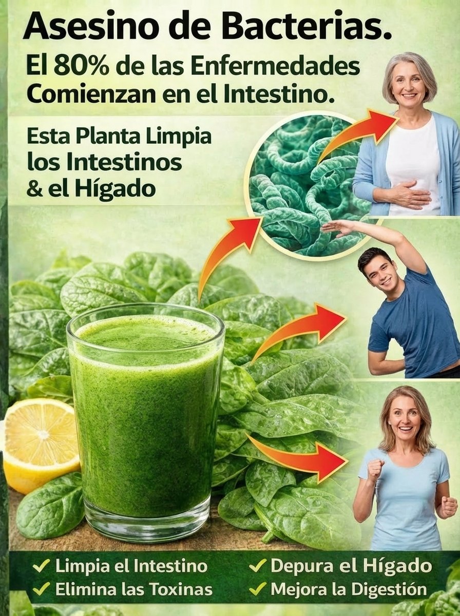 El Secreto de la Espinaca: ¡Desintoxica tu Hígado e Intestinos en Solo 7 Días y Siente la Energía Viral!