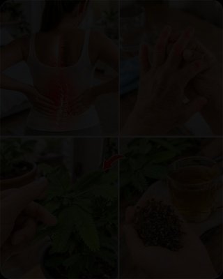 ¡Alerta! Si Sufres de Dolor Crónico, NO TIRES ESTA Planta: Es el Secreto Natural que Eliminará el Malestar de Espalda y Manos para Siempre