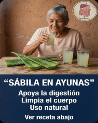 ¡ATENCIÓN! 🚨 Desvela los 16 Secretos del Aloe Vera que la Ciencia CONFIRMA (Deja de Creer Mitos y Transforma Tu Salud)