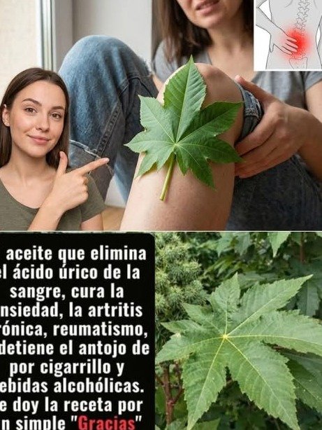 ¡El Secreto Revelado! 7 Beneficios Impensables de los Aceites Naturales que Transformarán Tu Bienestar Diario (Y Cómo Usarlos SIN Riesgos)