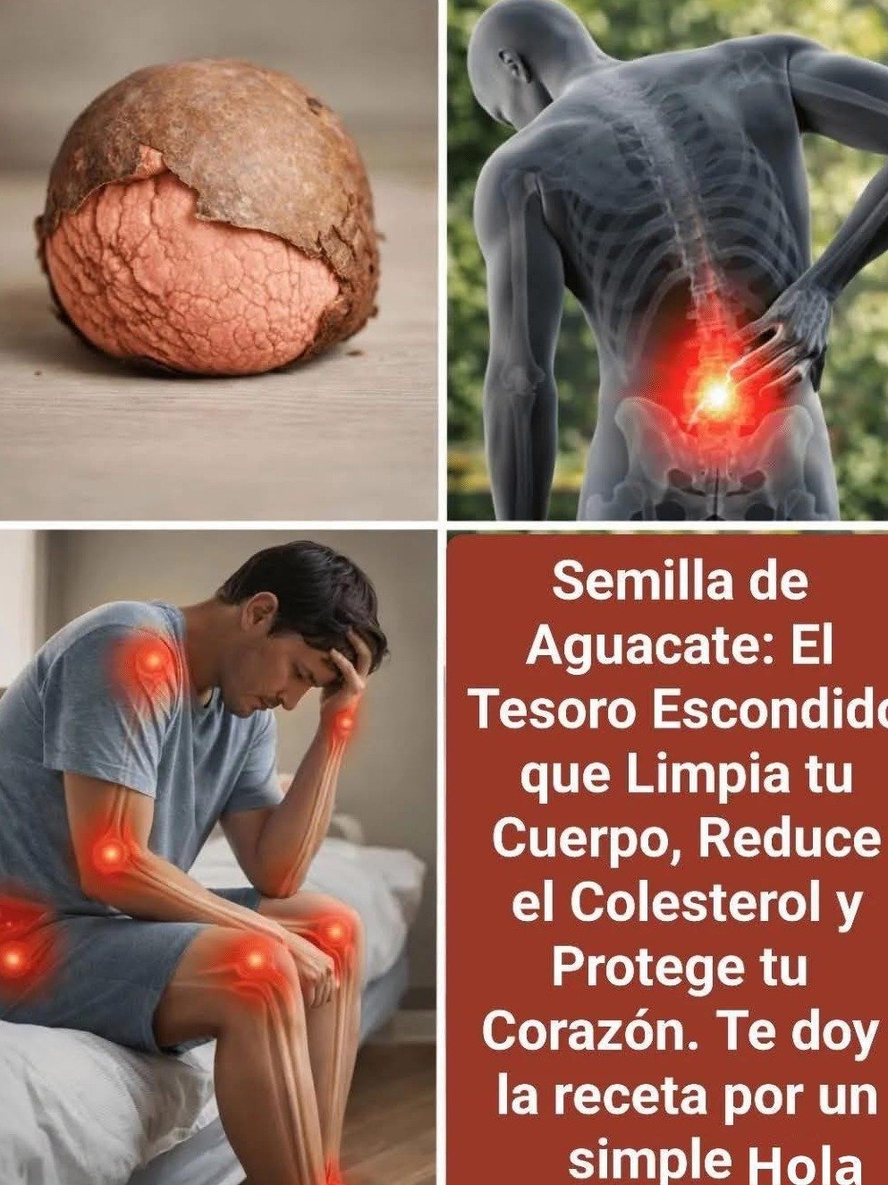 ¡BASTA de tirar el hueso de aguacate! Descubre el SECRETO mejor guardado para tu salud (y los RIESGOS que NADIE te cuenta)
