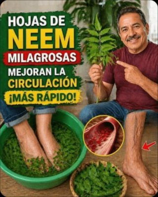 ¡Alerta! El Ingrediente Secreto que Mejorará tu Circulación al Instante y te Hará Sentir 10 Años Más Joven