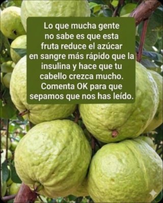¡Alerta Salud! 🚨 Este SECRETO Tropical BAJARÁ Tu Azúcar ALTO y Transformará Tu Vida (¡Nadie Te Lo Contó!)