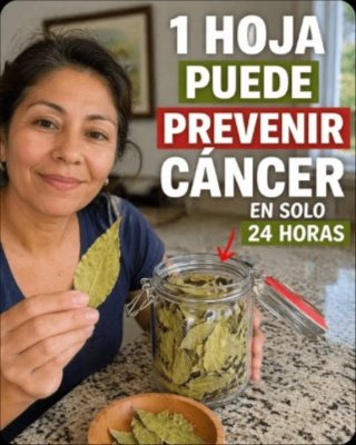 ¡ALERTA! ¿La Hoja de Laurel CURA el Cáncer o te Pone en PELIGRO? La Verdad que Pocos se Atreven a Contar