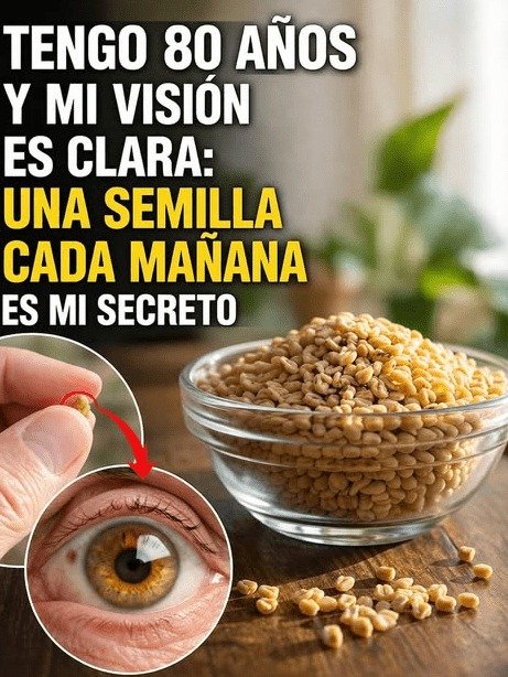 ¡Más de 90 años y tu vista y memoria te fallan? El secreto de 3 semillas que NADIE te ha contado (hasta ahora)