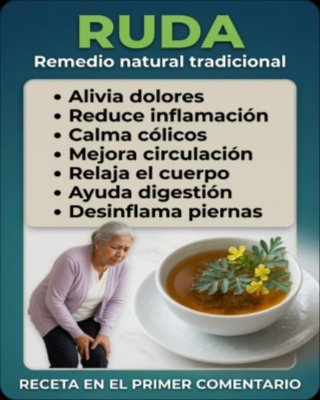 ¡ALERTA! Si Usas Ruda para el Dolor, NECESITAS Saber ESTO: Sus 7 Beneficios REALES y los Riesgos Ocultos que NUNCA te Contaron