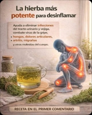 ¡ALERTA! El Tomillo NO es un Milagro: Descubre sus 7 Beneficios REALES y los 5 Mitos Peligrosos que Debes Ignorar