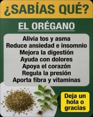 ¡El Secreto Olvidado de tu Cocina! Descubre los 7 Superpoderes del Orégano que Transformarán tu Salud para Siempre