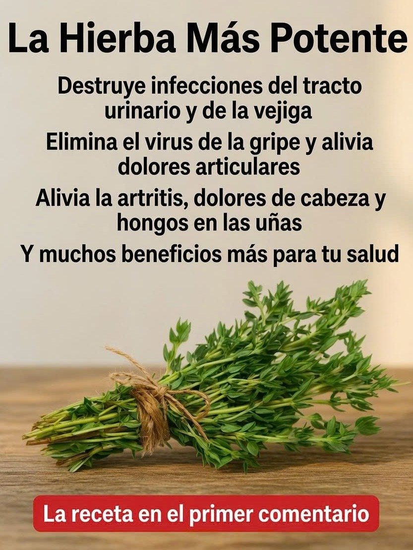 ¡Alerta! Si Tienes Tomillo en Casa y NO Conoces Sus 7 Secretos Ocultos, Estás Desaprovechando el Remedio Natural Más PODEROSO