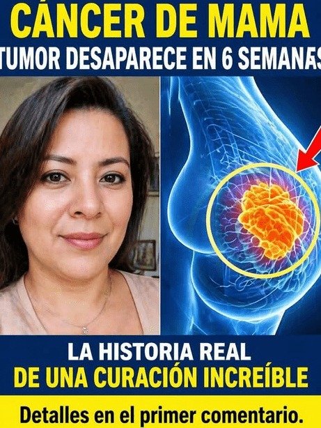 El Hábito SILENCIOSO que MILLONES de Mujeres Mayores de 50 IGNORAN y PONE en Riesgo su Salud Mamaria (¡No te quedes sin saberlo!)