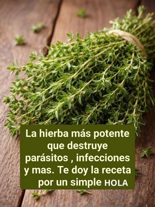 🔴 ¡URGENTE! ¿Tos y Flemas? Esta Planta Milagrosa Limpiará Tus Pulmones y Mejorará Tu Respiración para Siempre (El Secreto Mejor Guardado)